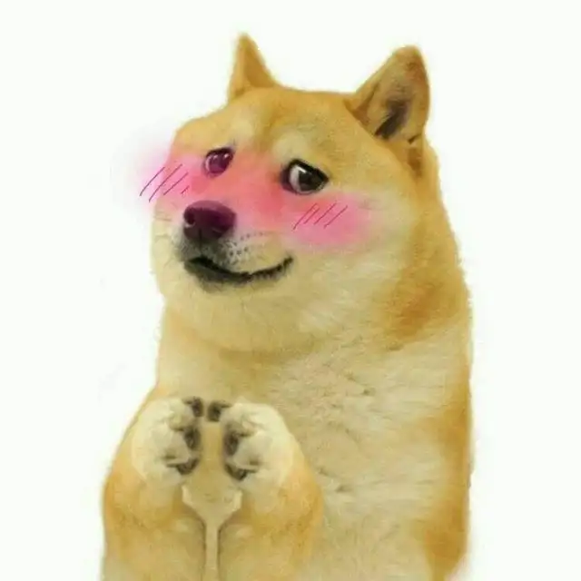 Meme shiba inu dễ thương khiến ai cũng thích thú