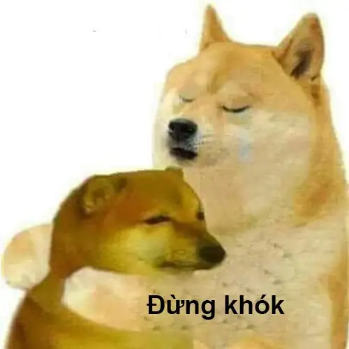 Shiba inu meme coin thu hút sự chú ý trên các nền tảng xã hội