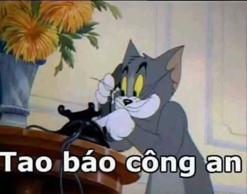 Ảnh meme công an khiến bạn muốn chia sẻ ngay