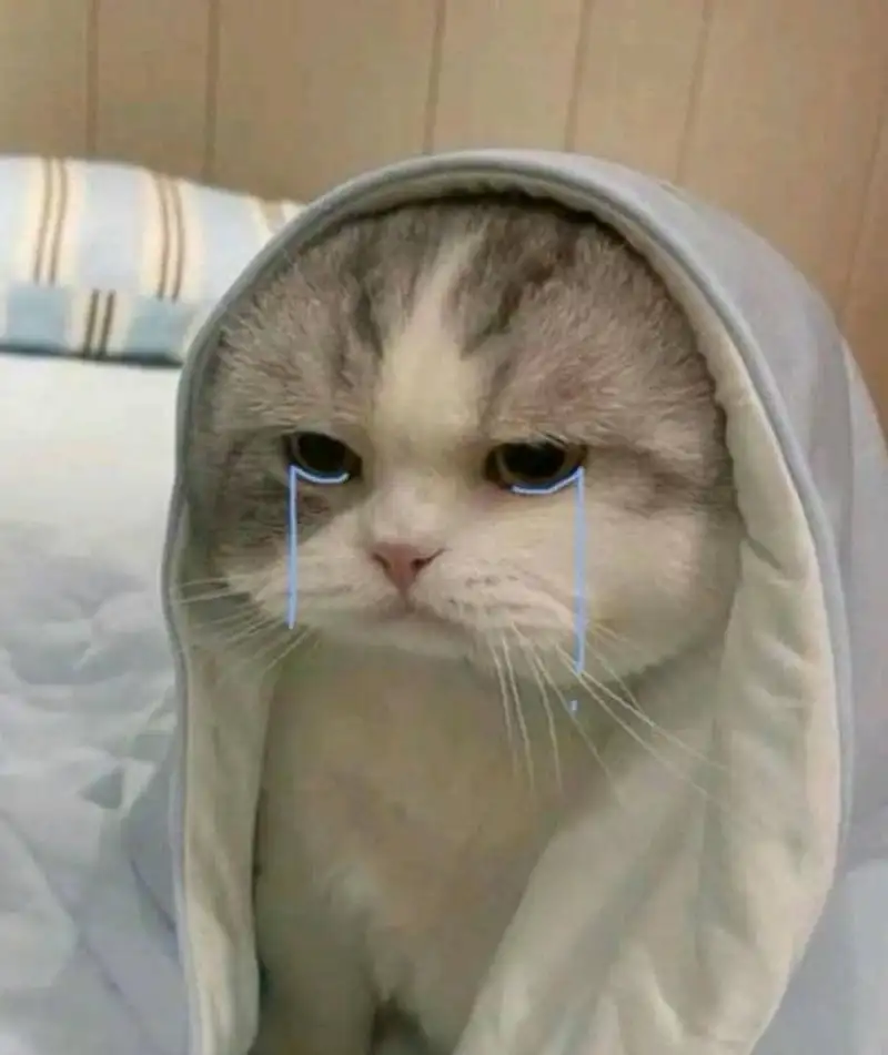 Banana cat cry meme là biểu tượng gây bão với biểu cảm độc lạ