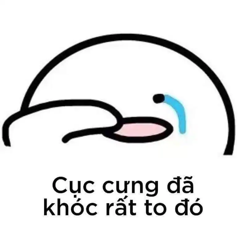 Meme mèo khóc thể hiện nỗi buồn của những chú mèo