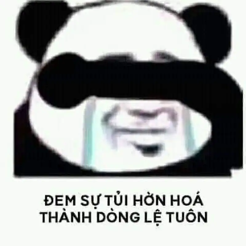 Meme cười khóc khiến bạn không thể rời mắt