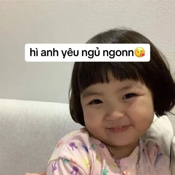 Meme chúc ngủ ngon hài hước để bạn cười thoải mái trước khi chìm vào giấc ngủ