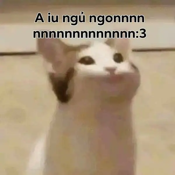 Chúc bạn ngủ ngon với những meme ngủ ngon cute và ngọt ngào nhất