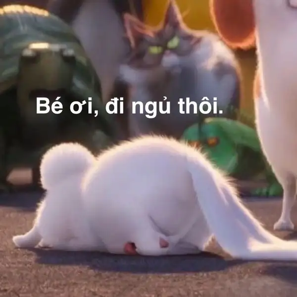 Một meme chúc ngủ ngon cute khiến bạn cảm thấy ấm áp và dễ chịu