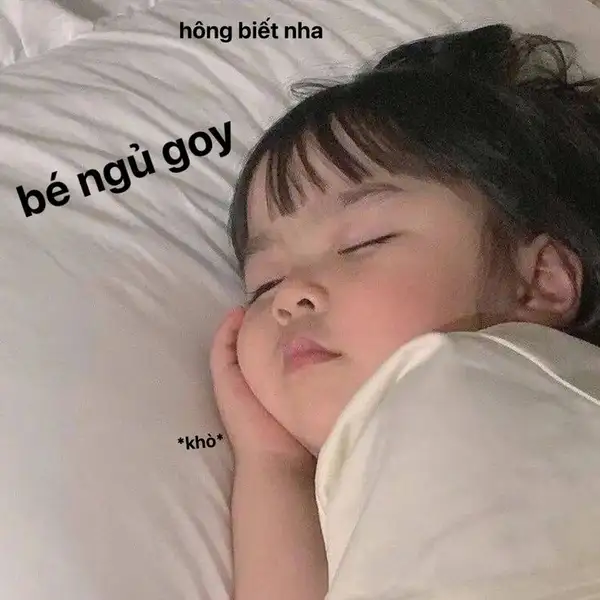 Meme mèo ngủ ngon cực dễ thương để bạn có một giấc ngủ thật ngon