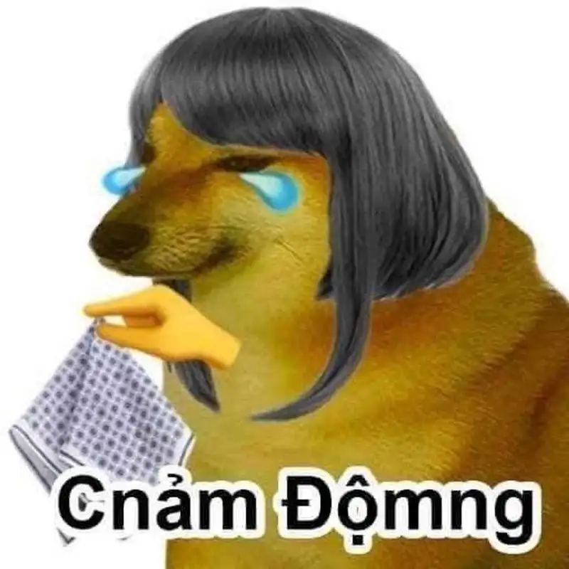 Meme coin doge châm biếm nhưng rất thú vị cho cộng đồng tiền ảo