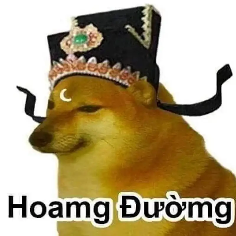 Hình doge meme vui nhộn cho những ai yêu thích meme chó