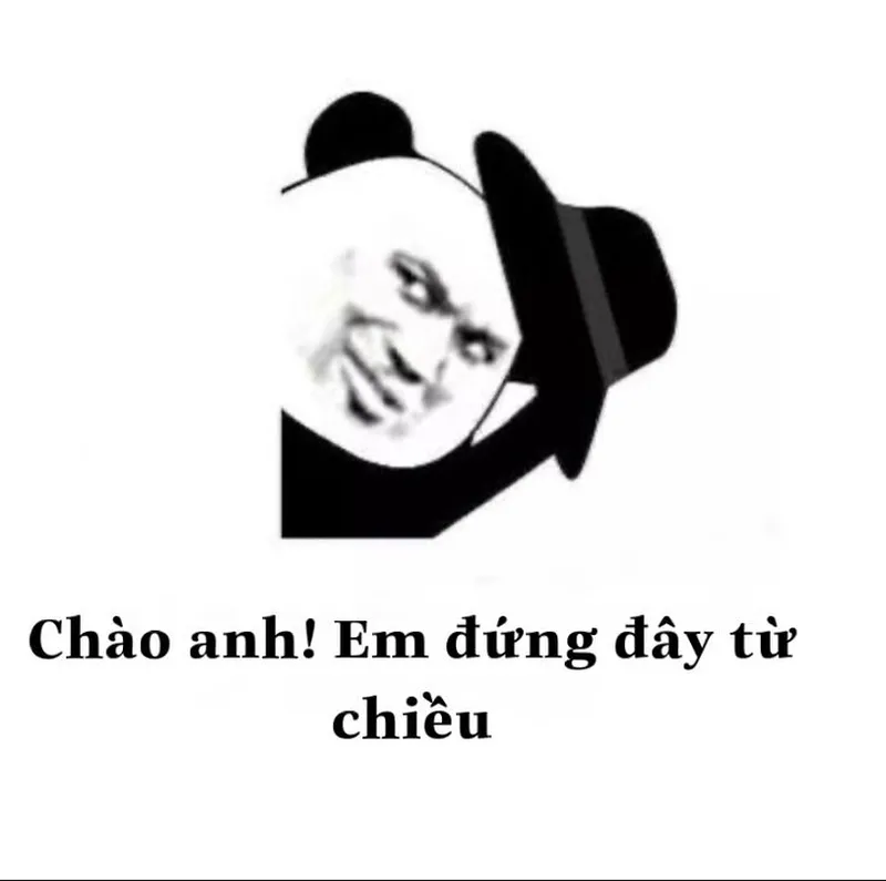 Mắt gấu trúc meme khiến bạn cảm thấy đồng cảm với tình huống hài hước