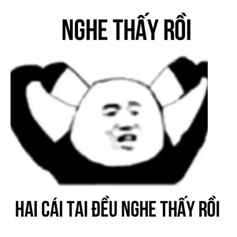 Mèo hài bựa ảnh meme cho những ai yêu thích sự hài hước