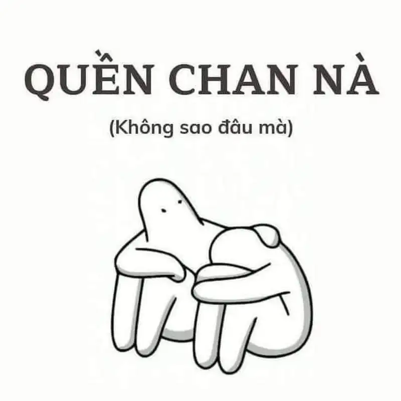 Cute meme mèo bựa dễ thương khiến bạn muốn chia sẻ ngay