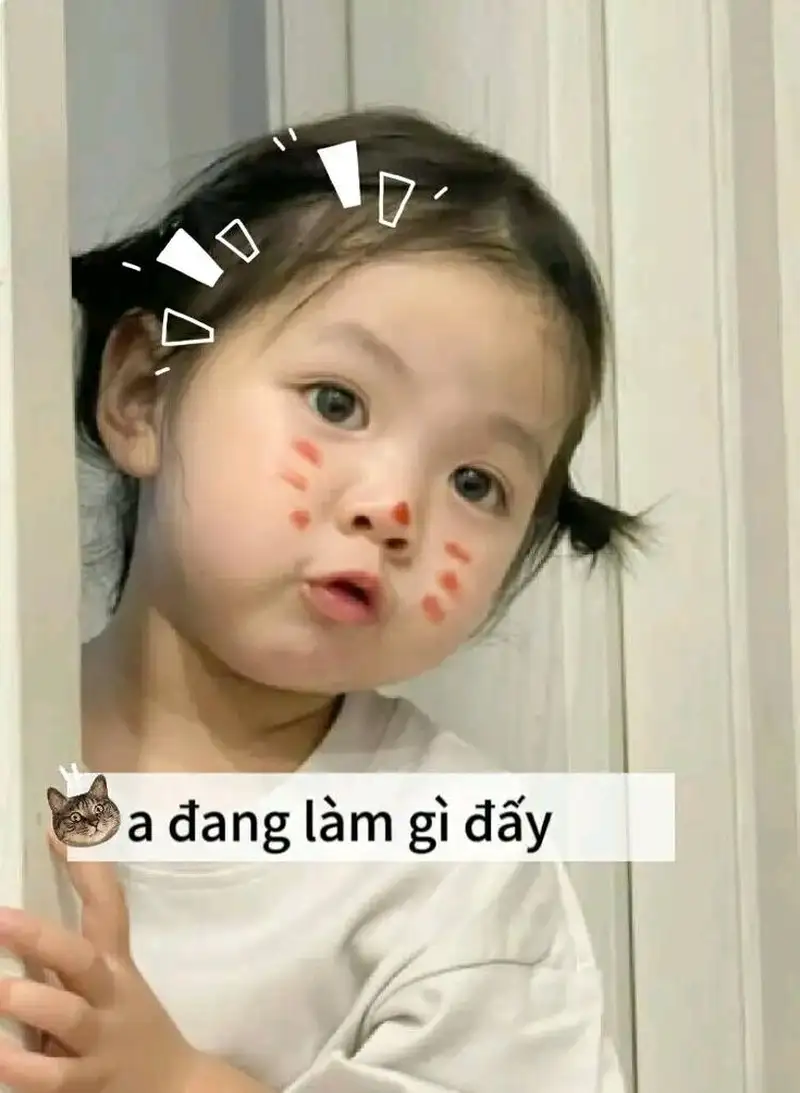 Meme mèo love luôn khiến người xem thích thú với sự dễ thương