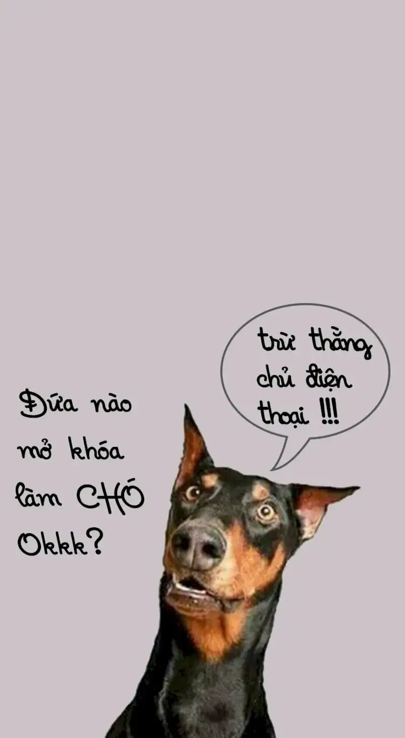 Meme ảnh em bé cute có chữ dễ thương cho những ai yêu thích