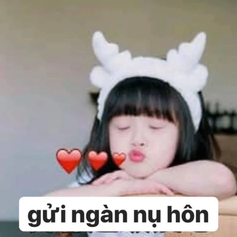 Đơn kết hôn meme vui nhộn, mang đến những phút giây hài hước