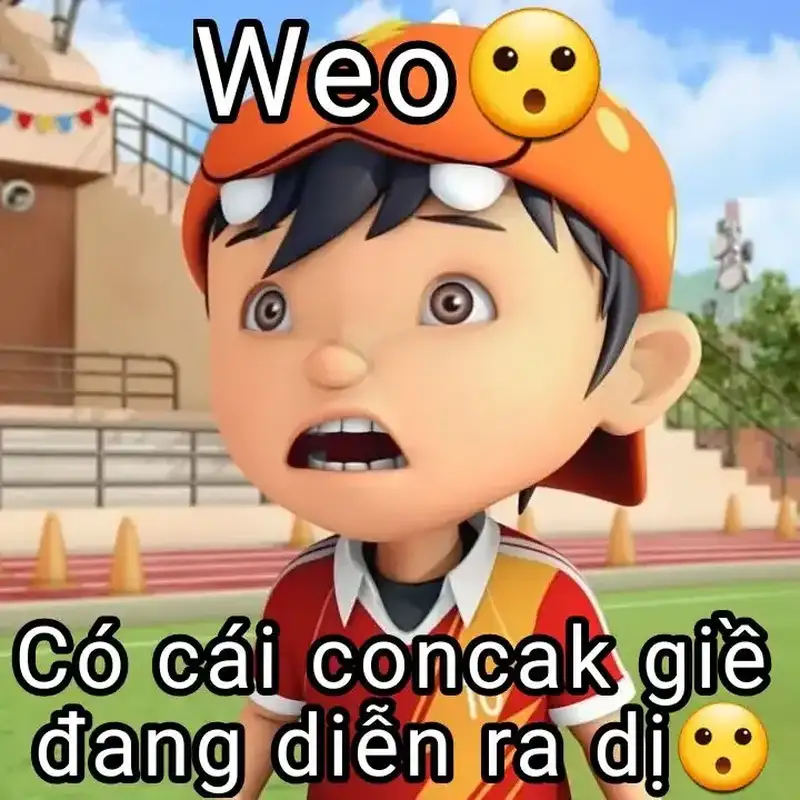 Meme gấu trúc ngạc nhiên mang lại tiếng cười cho mọi người