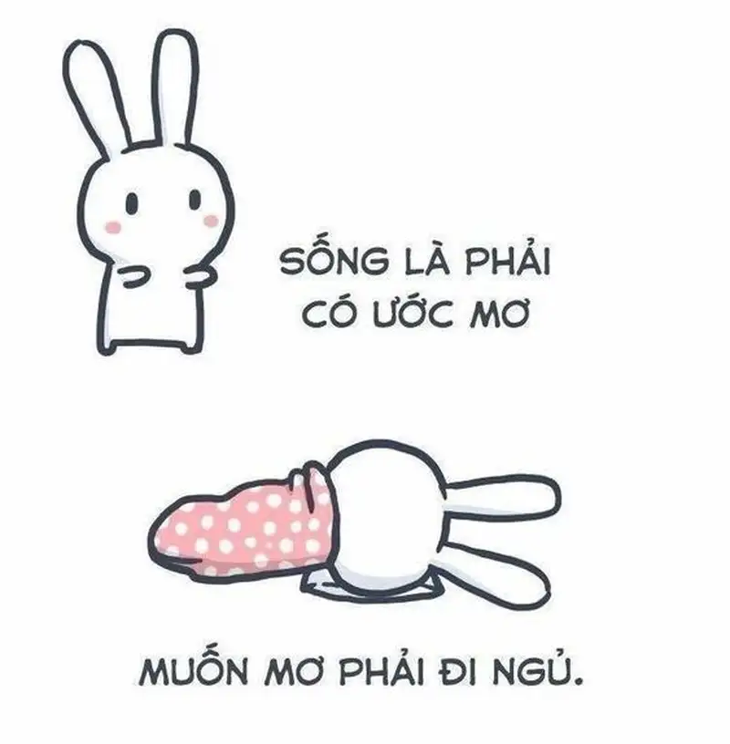 Chia sẻ ngủ ngon meme để gửi lời chúc tốt đẹp đến bạn bè