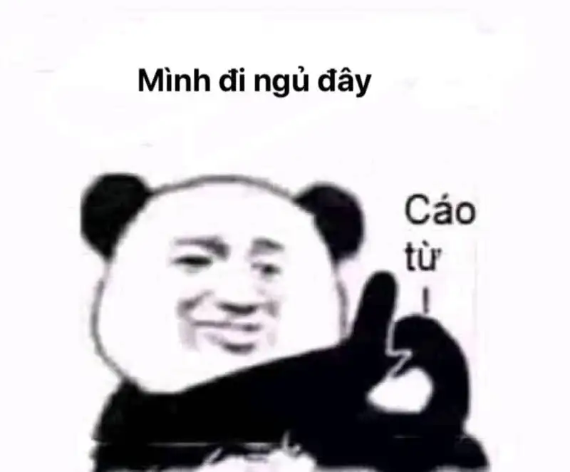 Ngủ meme dễ thương khiến bạn không thể nhịn cười