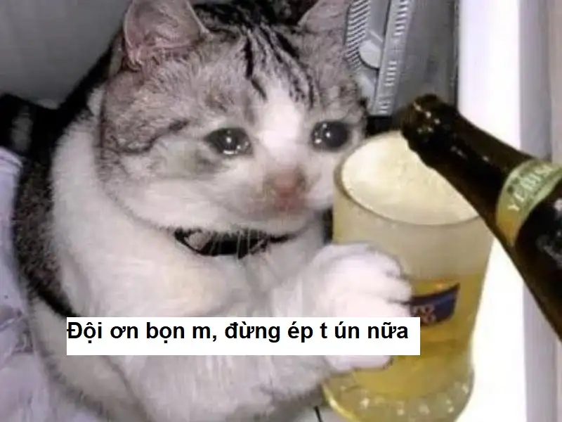 Cảm ơn ý kiến của bạn meme giúp bạn thể hiện sự tôn trọng