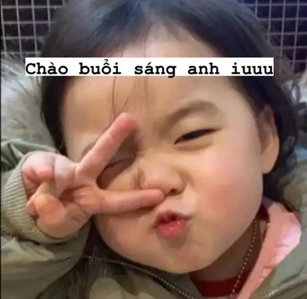 Meme mèo chào tạm biệt khiến bạn cảm thấy ấm áp dù là lúc chia tay