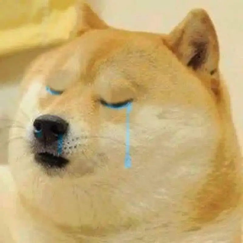 Meme dog shiba cực kỳ ngộ nghĩnh và dễ thương