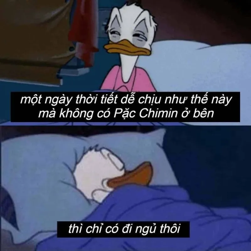 Meme buồn ngủ dễ thương khiến bạn muốn đắp chăn và đi ngủ ngay