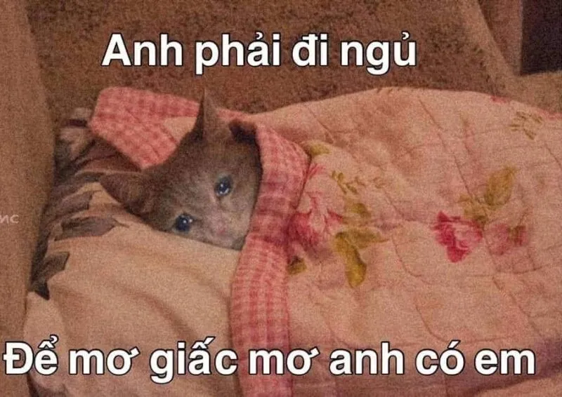 Meme mất ngủ sẽ khiến bạn thấy đồng cảm với những ai không thể ngủ được