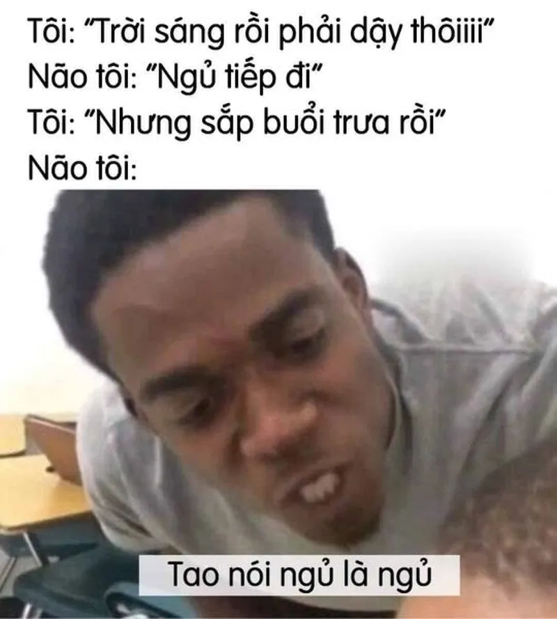 Chúc bạn ngủ ngon với những ảnh meme ngủ ngon dễ thương đầy năng lượng