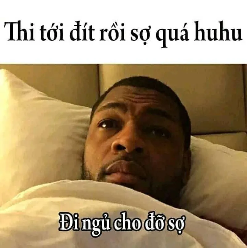 Mèo ngủ meme là lựa chọn hoàn hảo để thư giãn trước khi chìm vào giấc ngủ