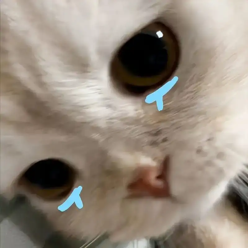 Crying man meme là biểu tượng của những cảm xúc khó nói thành lời