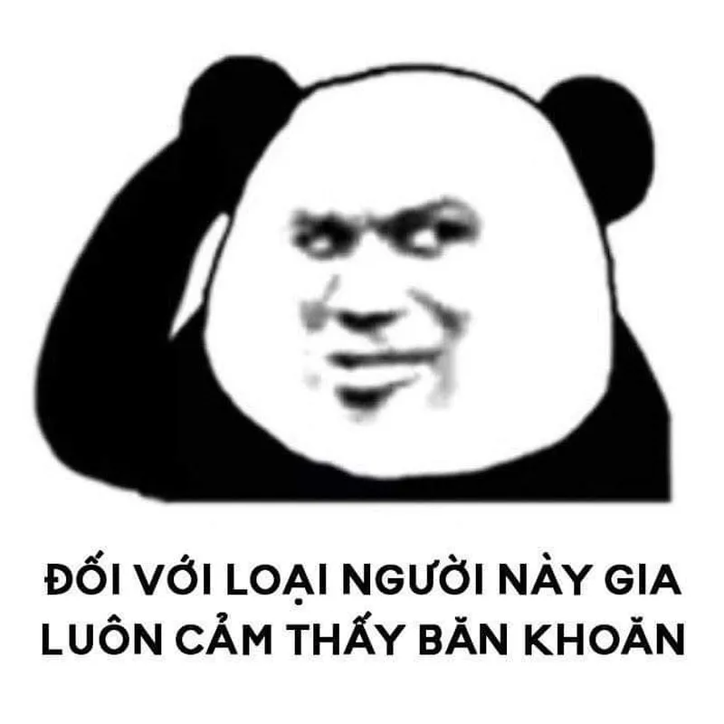 Meme gấu trúc mắt thâm khiến bạn cảm thấy đồng cảm