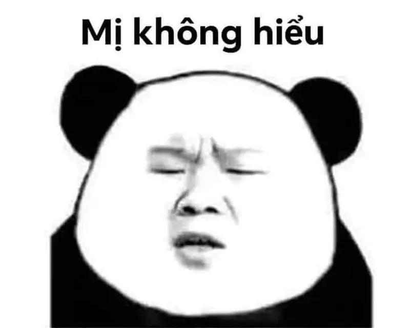 Hình meme gấu trúc mang lại tiếng cười cho cộng đồng yêu thích meme