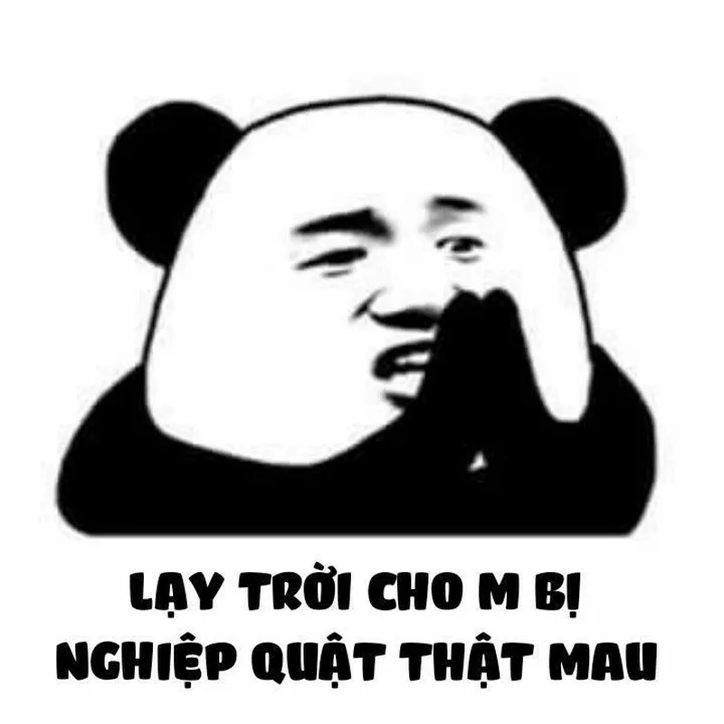 Meme gấu trúc luôn là một lựa chọn tuyệt vời cho những ai yêu thích sự hài hước 