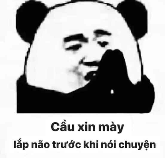 Meme hài gấu trúc tạo ra những khoảnh khắc hài hước và ngộ nghĩnh