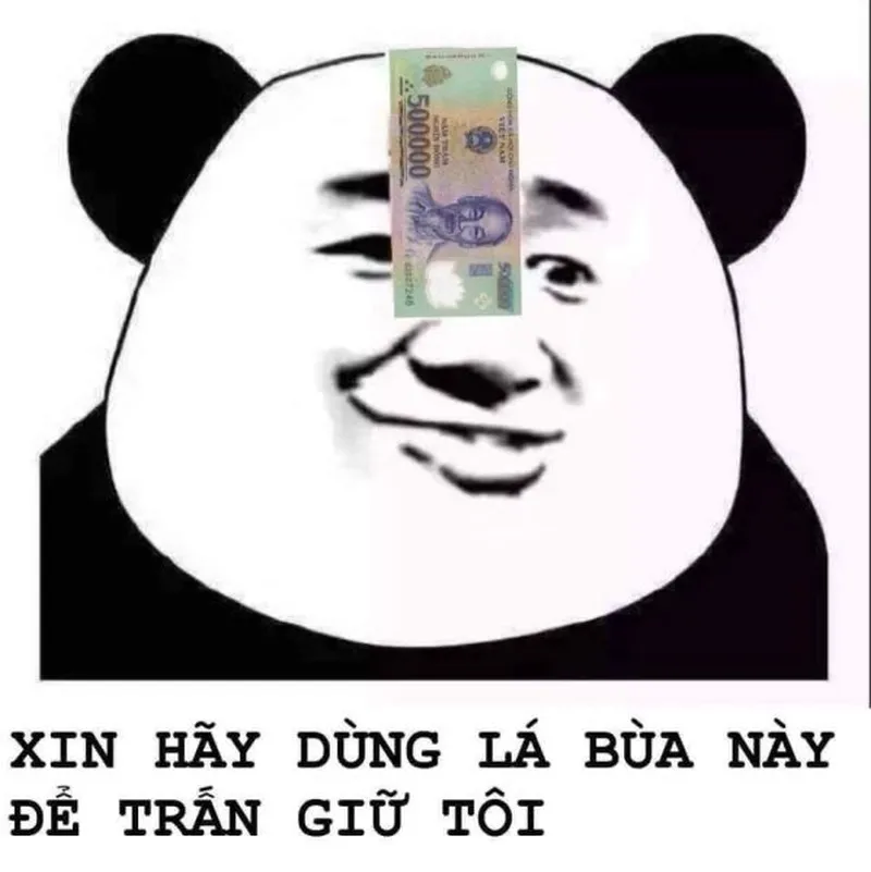 Ảnh meme gấu hồng mang đến những phút giây thư giãn nhẹ nhàng nhưng đầy hài hước