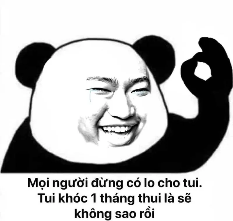 Con gấu màu hồng meme sẽ khiến bạn không thể nhịn cười 