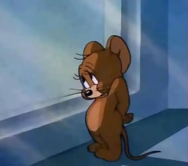 Chuột jerry meme tom and jerry mang lại tiếng cười cho mọi người