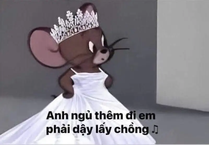 Funny love meme mang đến những tiếng cười sảng khoái về tình yêu