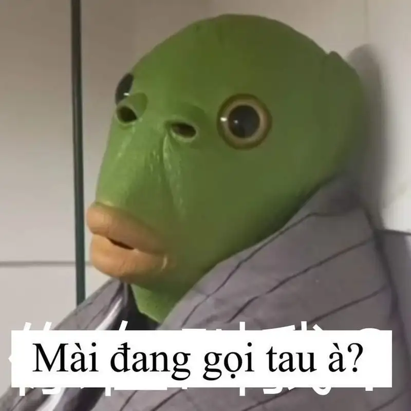 Meme hài hước bựa giúp bạn thư giãn và cười thoải mái