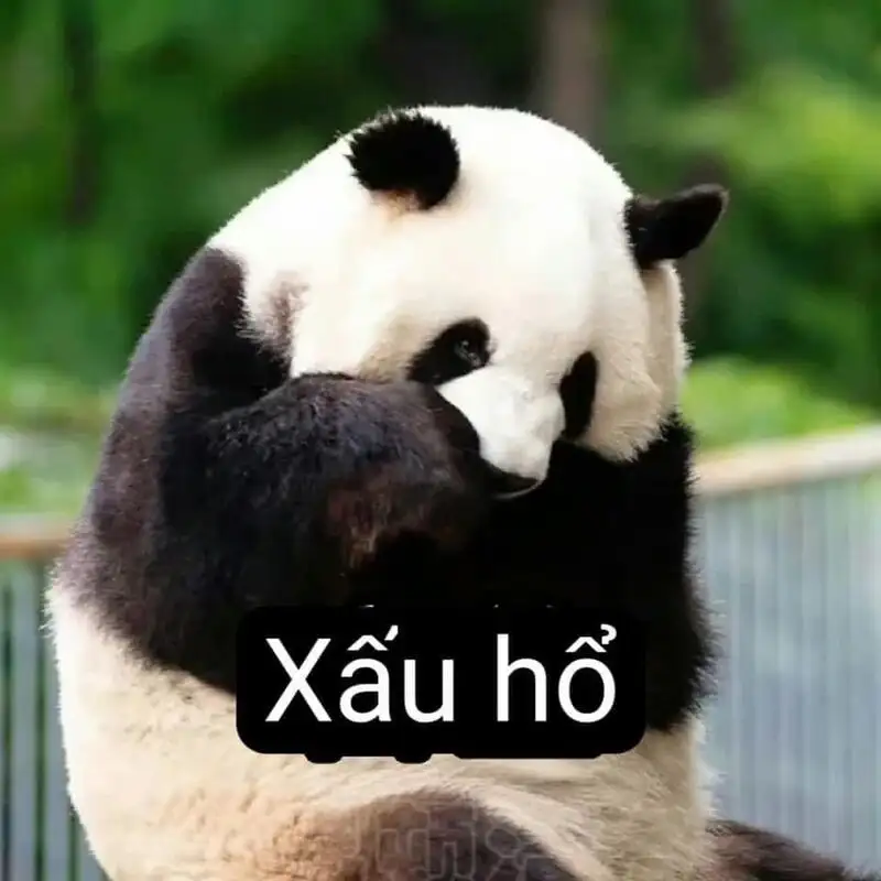 Người que cute ảnh meme hài giúp bạn thể hiện sự hài hước