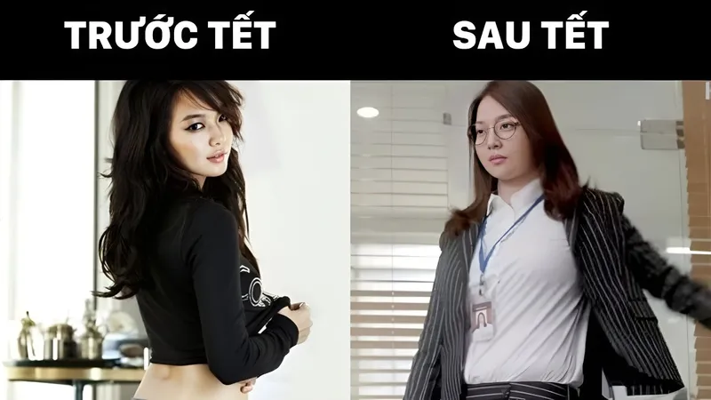 Ảnh Tết meme mèo luôn thu hút sự quan tâm của người hâm mộ