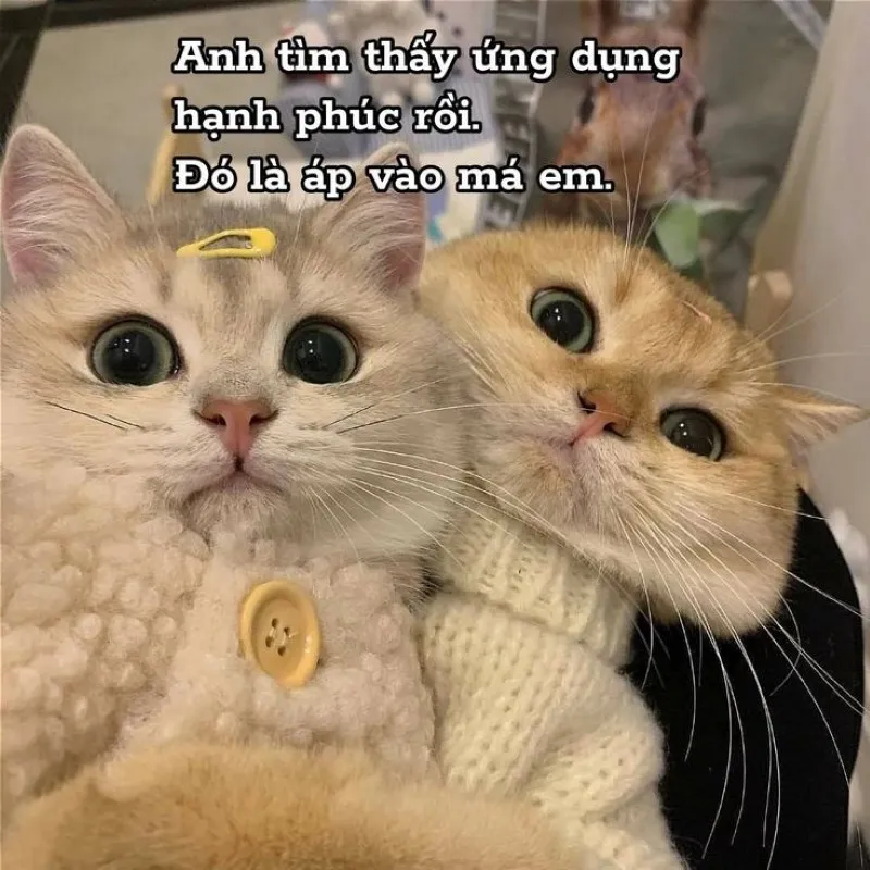 Cùng chia sẻ ảnh meme tình yêu cute này với người bạn yêu thương ngay nhé