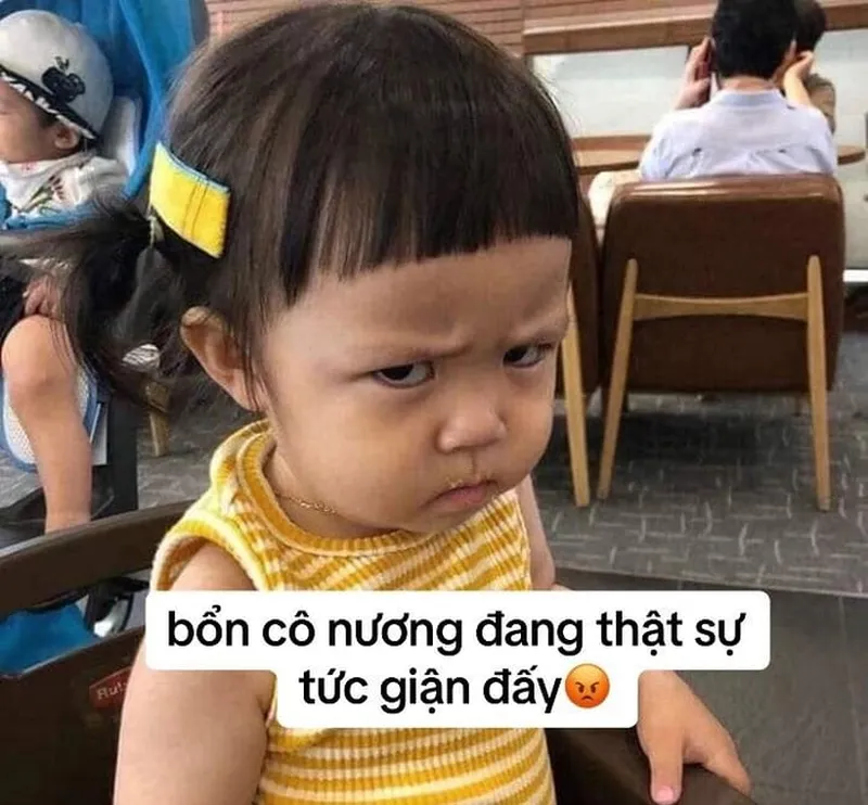 Mèo tức giận meme là hình ảnh đáng yêu trong những khoảnh khắc tức giận