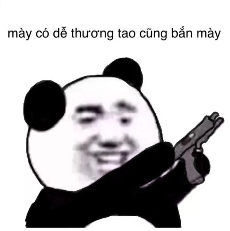 Meme con mèo tức giận thể hiện sự hài hước và đáng yêu