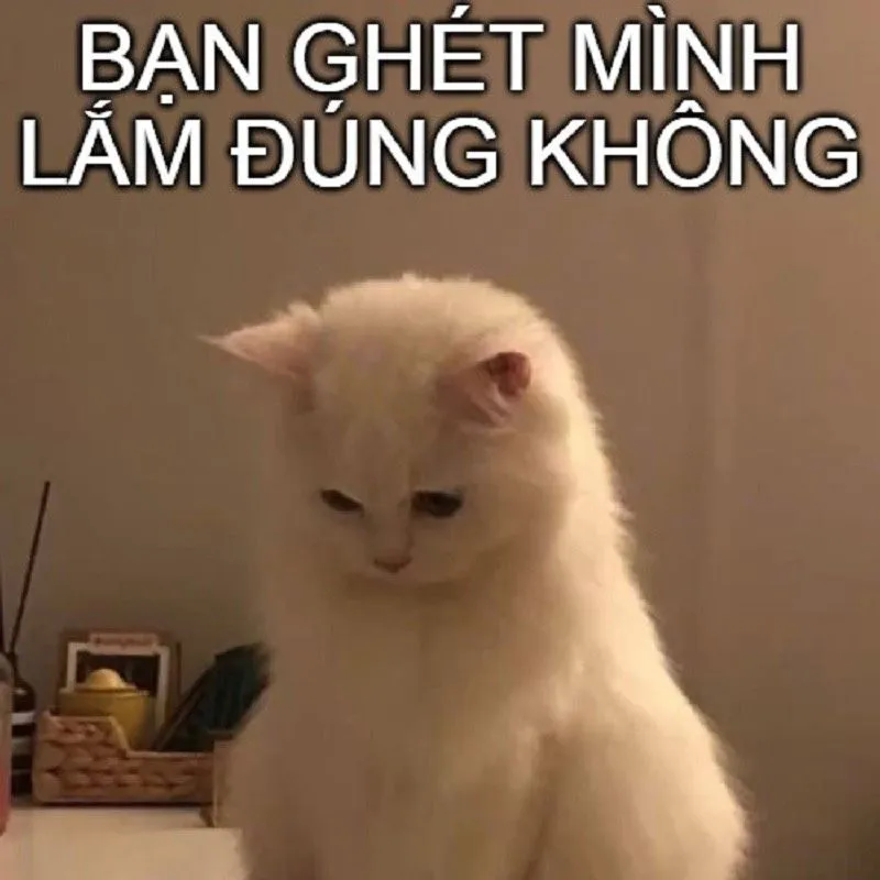 Meme em bé xin lỗi dễ thương sẽ khiến đối phương không thể giận lâu