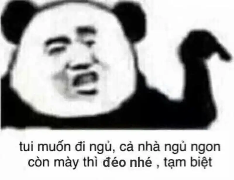 Ảnh meme mèo chúc ngủ ngon gửi gắm tình cảm đến thú cưng