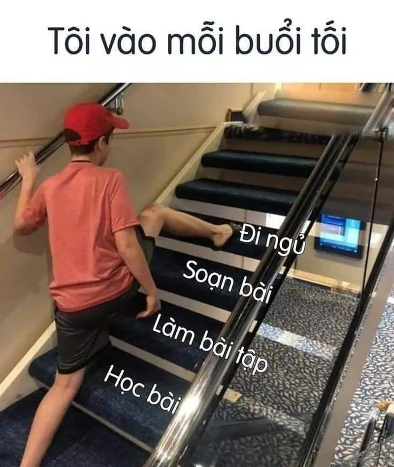 Meme chúc ngủ ngon dễ thương sẽ khiến bạn cảm thấy ấm lòng mỗi đêm