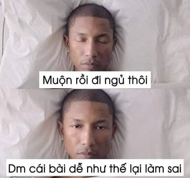 Meme chúc ngủ ngon hài hước khiến bạn cười trước khi lên giường ngủ