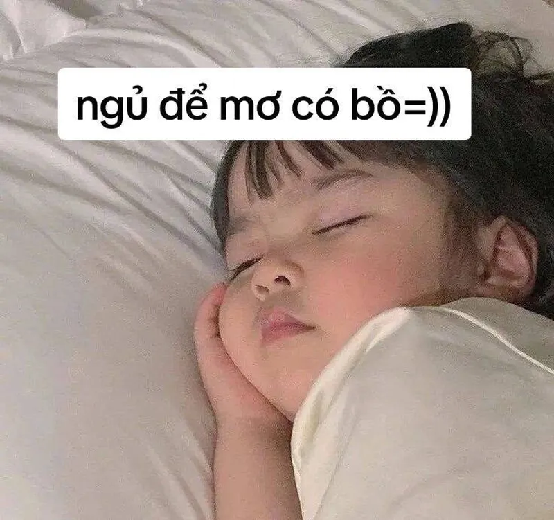 Meme ngủ cute giúp bạn thư giãn và cảm thấy dễ chịu trước khi ngủ