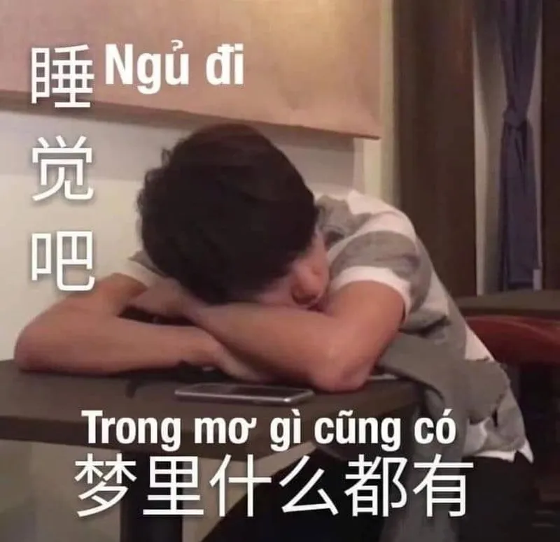 Meme công chúa ngủ trong rừng mang lại những khoảnh khắc lãng mạn trước khi ngủ