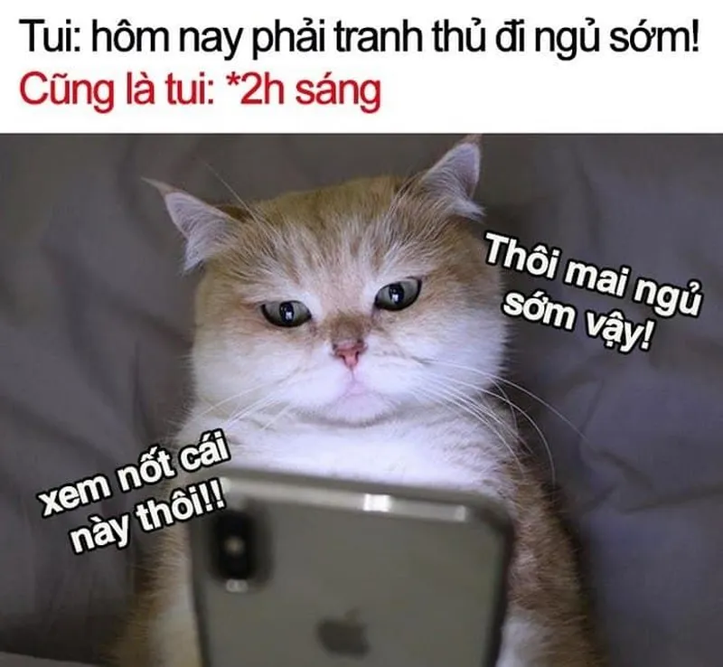 Meme đi ngủ đi là lời nhắc nhẹ nhàng cho bạn chìm vào giấc ngủ nhanh chóng